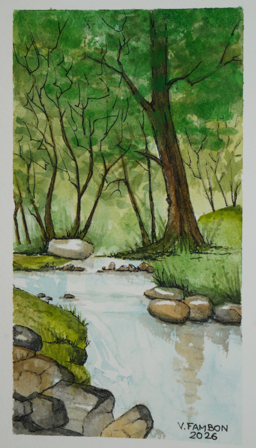 Rivière en sous-bois